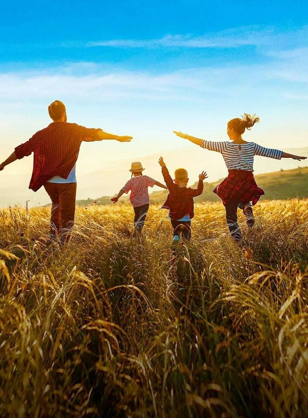 Plano de Assistência